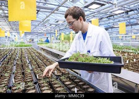 Bayer Unkrautresistenz Competence Center Stockfoto