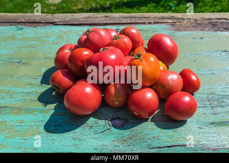 Frische organische reife rote Tomaten auf alten verwitterten Geschälte grüne Holz- Oberfläche. Haufen Gemüse nach der Ernte. Sonnigen Sommertag in Ackerland. Stockfoto