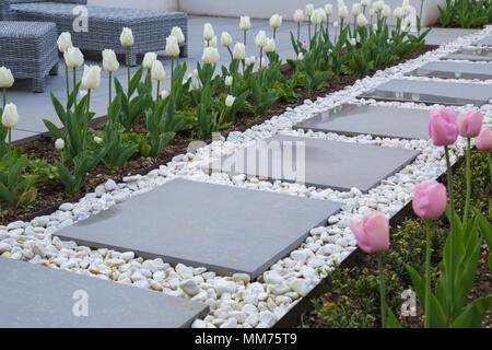 Symphonie verglaste Pflastersteine Form den Weg zu dem Haus, mit Tulipa Tulipa 'Kokette' und 'Pink Diamond' entweder Seite. Credits: Design von Zinnia Stockfoto