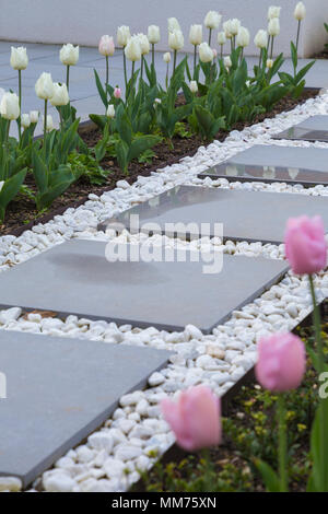 Symphonie verglaste Pflastersteine Form den Weg zu dem Haus, mit Tulipa Tulipa 'Kokette' und 'Pink Diamond' entweder Seite. Credits: Design von Zinnia Stockfoto