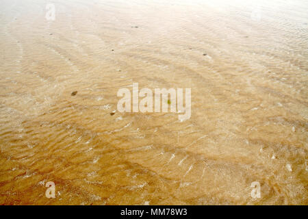 Textur, Areia Vermelha Insel, Areia Vermelha Strand, Areia Vermelha Marine State Park, Cabedelo, Paraiba, Brasilien Stockfoto