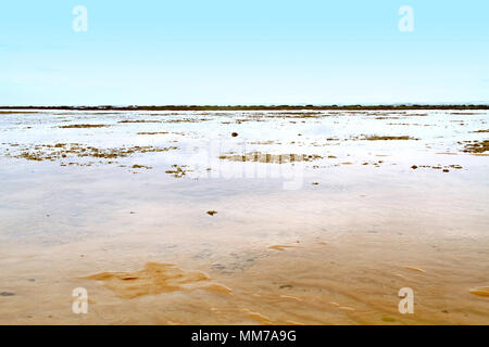 Textur, Areia Vermelha Insel, Areia Vermelha Strand, Areia Vermelha Marine State Park, Cabedelo, Paraiba, Brasilien Stockfoto