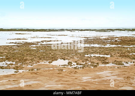 Areia Vermelha Insel, Areia Vermelha Strand, Areia Vermelha Marine State Park, Cabedelo, Paraiba, Brasilien Stockfoto