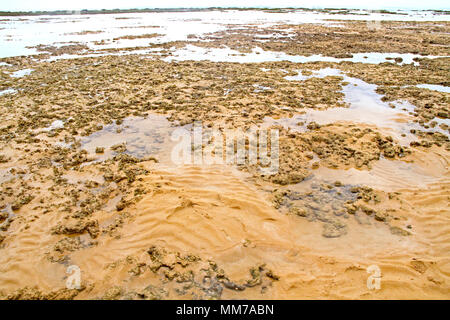 Areia Vermelha Insel, Areia Vermelha Strand, Areia Vermelha Marine State Park, Cabedelo, Paraiba, Brasilien Stockfoto