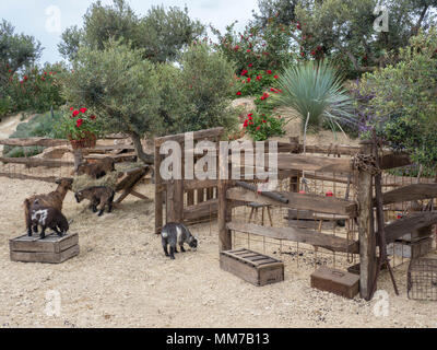 Malvern, Worcestershire, Großbritannien. Mittwoch, 9. Mai 2018 Malvern, Worcestershire, Großbritannien. Billy's Höhle durch Villaggio Verde - Goldmedaille. Sie können sogar das pygmie Ziegen auf dieser Garten erfüllen. Credit: Ian Thwaites/Alamy leben Nachrichten Stockfoto