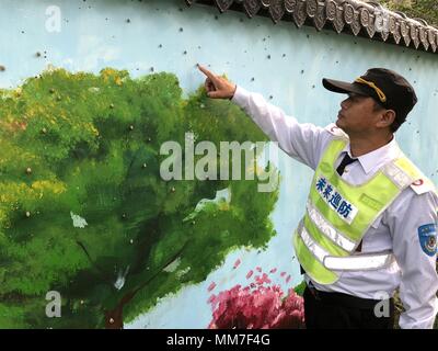 Zhengzhou, Zhengzhou, China. 9. Mai, 2018. Zhengzhou, China - 9. Mai 2018: Schnecken auf Baumstämme sammeln auf der Straße in Zhengzhou, der Central China Provinz Henan. Credit: SIPA Asien/ZUMA Draht/Alamy leben Nachrichten Stockfoto