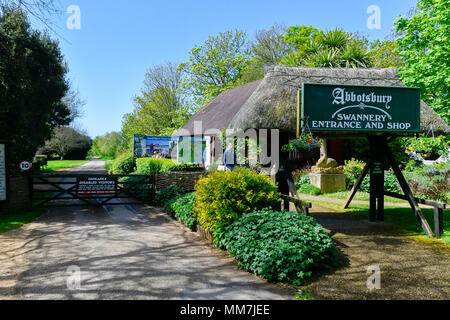 Abbotsbury Swannery, Abbotsbury, Dorset, Großbritannien. 10. Mai 2018. Blick auf den Eingang zum Abbotsbury Swannery in Dorset als die Erste der Baby Höckerschwan cygnets Start schlüpfen heute. Foto: Graham Jagd-/Alamy leben Nachrichten Stockfoto