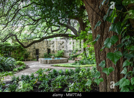 Die Alamo, SAN ANTONIO, TX, USA - 23. Mai: Der Innenhof des Alamo ist grün und ruhig fast zwei Jahrhunderte nach der heftigen Kampf gibt gekämpft. Stockfoto