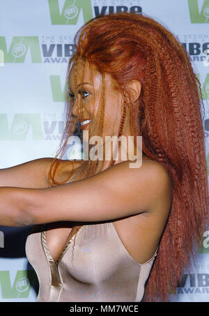 Tyra Banks bei den Vibe Awards im Barker Hangar Ankunft in Santa Monica Los Angeles. November 15, 2004. BanksTyra 023 Red Carpet Event, Vertikal, USA, Filmindustrie, Prominente, Fotografie, Bestof, Kunst, Kultur und Unterhaltung, Topix Prominente Fashion/Vertikal, Besten, Event in Hollywood Leben - Kalifornien, Roter Teppich und backstage, USA, Film, Stars, Film Stars, TV Stars, Musik, Promis, Fotografie, Bestof, Kunst, Kultur und Unterhaltung, Topix, headshot, vertikal, eine Person aus dem Jahr 2004, Anfrage tsuni@Gamma-USA.com Stockfoto