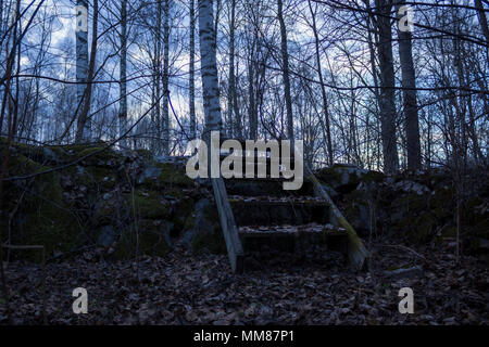 Alte Holztreppe über eine Mauer aus Stein, in einem Wald im Norden Schwedens. Birken im Hintergrund, Blätter im Vordergrund gefallen - frühe springt Stockfoto