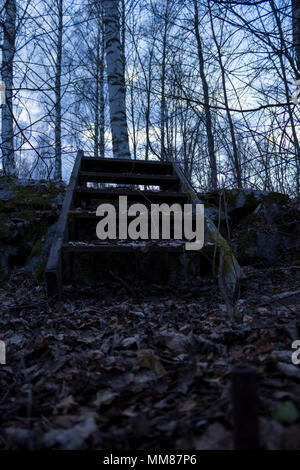 Alte Holztreppe über eine Mauer aus Stein, in einem Wald im Norden Schwedens. Birken im Hintergrund, Blätter im Vordergrund gefallen - frühe springt Stockfoto