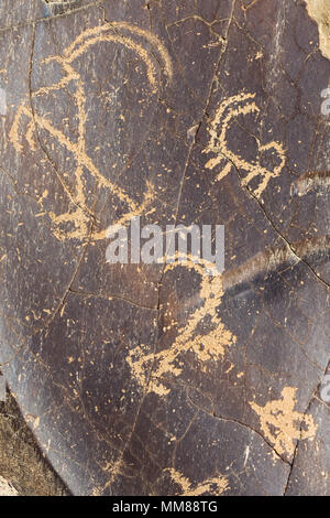 Domkhar Rock Art Heiligtum in Domkhar Dorf in Ladakh, an den Ufern des Indus. Stockfoto