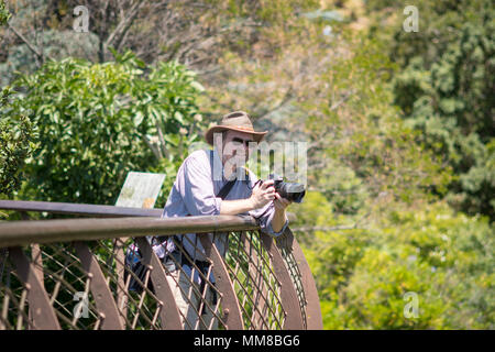 Männliche Fotograf auf die Hundertjährigen Baum Canopy Walkway an den Botanischen Garten Kirstenbosch in Kapstadt, Südafrika Stockfoto