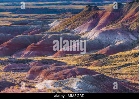 Bunt gemalte Wüste Landschaften gesehen von entlang der Park Road in der Sektion in Petrified Forest National Park nördlich von Interstate 40, Arizona Stockfoto