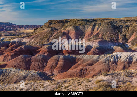 Bunt gemalte Wüste Landschaften gesehen von entlang der Park Road in der Sektion in Petrified Forest National Park nördlich von Interstate 40, Arizona Stockfoto