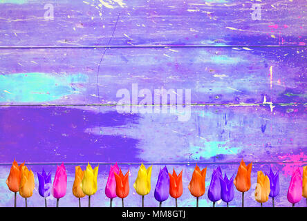 Tulpen auf lila bunt vintage Hintergrund mit schäbigen Distressed grungy Textur hippie Style Stockfoto