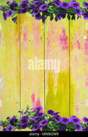 Violett Petunie auf Gelb bunt vintage Hintergrund mit schäbigen Distressed grungy Textur hippie Style Stockfoto