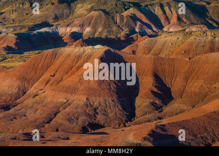 Bunt gemalte Wüste Landschaften gesehen von entlang der Park Road in der Sektion in Petrified Forest National Park nördlich von Interstate 40, Arizona Stockfoto