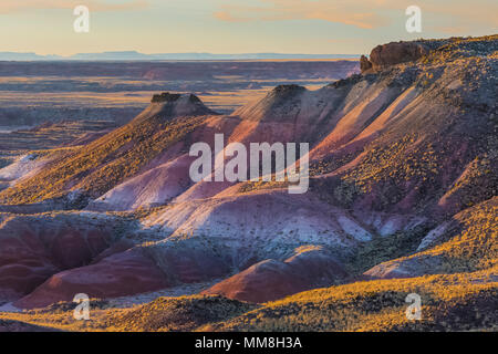 Bunt gemalte Wüste Landschaften gesehen von entlang der Park Road in der Sektion in Petrified Forest National Park nördlich von Interstate 40, Arizona Stockfoto