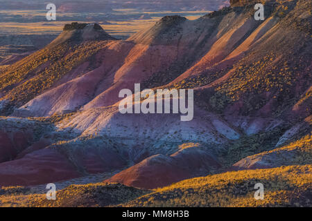 Bunt gemalte Wüste Landschaften gesehen von entlang der Park Road in der Sektion in Petrified Forest National Park nördlich von Interstate 40, Arizona Stockfoto