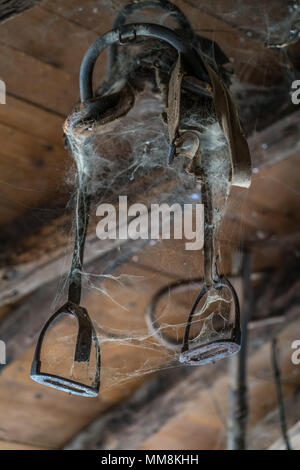 Alten Kabelbaum im Spinnennetz hängen von der Decke in einem alten Bauernhaus abgedeckt Stockfoto