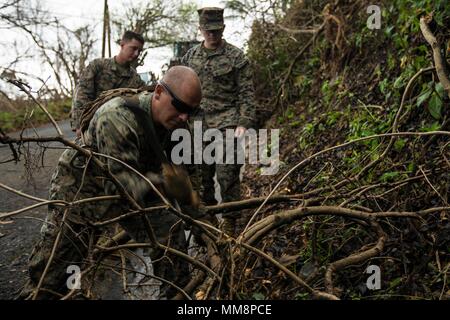 Us Marine Lance Cpl. Alexander D. Johnson, ein Combat engineer mit Bataillon Landung Team 2 Bataillon, 6 Marine Regiment, 26 Marine Expeditionary Unit (MEU), Koteletts, eine Zweigniederlassung um Rückstände von der Fahrbahn für eine Gemeinschaft von Hurricane Irma in St. Thomas, U.S. Virgin Islands, Sept. 14, 2017 betroffen. Die 26. MEU unterstützt Behörden in den U.S. Virgin Islands mit der kombinierten Ziel der Schutz des Lebens und der Sicherheit der Personen in den betroffenen Gebieten. (U.S. Marine Corps Foto von Lance Cpl. Matally Tojyea G.) Stockfoto