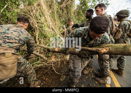 Us Marine Sgt. David M. Benitez, Recht, ein Combat engineer mit Bataillon Landung Team 2 Bataillon, 6 Marine Regiment, 26 Marine Expeditionary Unit (MEU), zieht ein Baum um Rückstände von der Fahrbahn, um eine Gemeinschaft von Hurricane Irma in St. Thomas, U.S. Virgin Islands, Sept. 14, 2017 betroffen. Die 26. MEU unterstützt Behörden in den U.S. Virgin Islands mit der kombinierten Ziel der Schutz des Lebens und der Sicherheit der Personen in den betroffenen Gebieten. (U.S. Marine Corps Foto von Lance Cpl. Matally Tojyea G.) Stockfoto