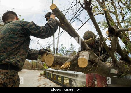 Us Marine Cpl. Ryan I. Smith, rechts, eine Bekämpfung der Ingenieur mit Bataillon Landung Team 2 Bataillon, 6 Marine Regiment, 26 Marine Expeditionary Unit (MEU), verwendet eine Kettensäge durch ein gefallener Zweig Versperren der Fahrbahn zu schneiden, um eine Gemeinschaft von Hurricane Irma in St. Thomas, U.S. Virgin Islands, Sept. 14, 2017 betroffen. Die 26. MEU unterstützt Behörden in den U.S. Virgin Islands mit der kombinierten Ziel der Schutz des Lebens und der Sicherheit der Personen in den betroffenen Gebieten. (U.S. Marine Corps Foto von Lance Cpl. Matally Tojyea G.) Stockfoto