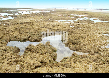 Areia Vermelha Insel, Areia Vermelha Strand, Areia Vermelha Marine State Park, Cabedelo, Paraiba, Brasilien Stockfoto