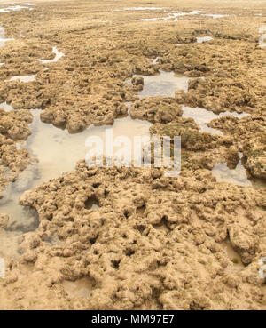 Areia Vermelha Insel, Areia Vermelha Strand, Areia Vermelha Marine State Park, Cabedelo, Paraiba, Brasilien Stockfoto