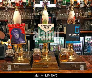 Winter wollig, Schlucht am Besten, Optimist Bier Pumpen auf eine Bar, in einem traditionellen englischen Pub, England, Großbritannien Stockfoto