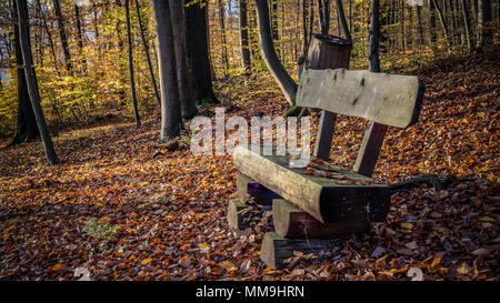 Bank im Wald Stockfoto