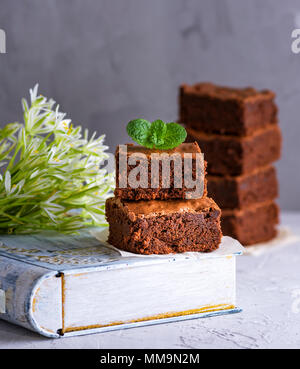Ein Haufen von quadratische Stücke von Chocolate Brownie mit einem Zweig Minze, Nahaufnahme Stockfoto
