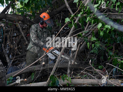 170922-N-WC 566-0073 Aiea, Hawaii (Sep. 22, 2017) Bau Elektriker 2. Klasse Nathan Bush, der Marine Bau Bataillon Mobile Einheit 303 Loslösung Pearl Harbor zugeordnet, entfernt der invasiven Mangrovenbäume aus der Pearl Harbor Radweg entlang der historischen Uferpromenade von Pearl Harbor in Radevormwald, für die Phase zwei der Restaurierung der Radweg, September 22. Joint Base Pearl Harbor-Hickam und die Stadt und die Grafschaft von Honolulu haben zusammengearbeitet, um für 12 Jahre bis der Radweg und Host freiwilligen Bemühungen mindestens zweimal im Jahr zu reinigen. (U.S. Marine Foto von Massenkommunikation Spec Stockfoto