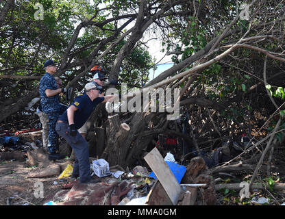 170922-N-WC 566-0079 Aiea, Hawaii (Sep. 22, 2017) freiwillige Helfer aus dem Chaos der Joint Base Pearl Harbor-Hickam (JBPHH) Chief, der JBPHH First Class Petty Officer Association und Marine Bau Bataillon Mobile Einheit 303 Loslösung Pearl Harbor, klare invasive Mangrovenbäume aus der Pearl Harbor Radweg entlang der historischen Waterfront von Pearl Harbor in Radevormwald, für die Phase zwei der Restaurierung der Radweg, September 22. JBPHH und die Stadt und die Grafschaft von Honolulu haben zusammengearbeitet, um für 12 Jahre bis der Radweg und Host freiwilligen Bemühungen mindestens zweimal im Jahr zu reinigen. (U.S. Marine Stockfoto