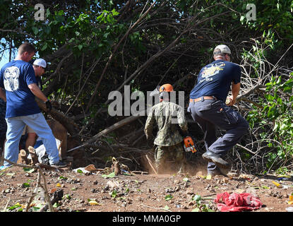 170922-N-WC 566-0056 Aiea, Hawaii (Sep. 22, 2017) freiwillige Helfer aus dem Chaos der Joint Base Pearl Harbor-Hickam (JBPHH) Chief, der JBPHH First Class Petty Officer Association und Marine Bau Bataillon Mobile Einheit 303 Loslösung Pearl Harbor, klare invasive Mangrovenbäume aus der Pearl Harbor Radweg entlang der historischen Waterfront von Pearl Harbor in Radevormwald, für die Phase zwei der Restaurierung der Radweg, September 22. JBPHH und die Stadt und die Grafschaft von Honolulu haben zusammengearbeitet, um für 12 Jahre bis der Radweg und Host freiwilligen Bemühungen mindestens zweimal im Jahr zu reinigen. (U.S. Marine Stockfoto