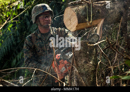 Us Marine Corps Lance Cpl. Nick R. Schleifstein, eine Bekämpfung der Ingenieur mit Bataillon Landung Team 2 Bataillon, 6 Marine Regiment, 26 Marine Expeditionary Unit (MEU), cust durch ein Ast bei der clearing Maßnahmen zur Unterstützung von Hilfsmaßnahmen für die Opfer von Hurrikan Maria in Aguadilla, Puerto Rico, Sept. 25, 2017. Der 26. MEU unterstützt die Federal Emergency Management Agency, die federführende Bundesamt, und lokale Behörden in Puerto Rico und den U.S. Virgin Islands mit der kombinierten Ziel der Schutz des Lebens und der Sicherheit der Personen in den betroffenen Gebieten. (U.S. Marine Corps Foto von Lance C Stockfoto