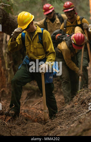 Feuerwehrmänner vom Büro des Land-Managements arbeiten Seite an Seite mit der US-Armee Soldaten, zu 23 Brigade Engineer Battalion, 1-2 Stryker Brigade Combat Team, die Waldbrände in der Umpqua National Forest, Oregon, Sept. 11 zu bekämpfen. Die Soldaten wurden Clearing brennbare Pinsel und Rückstände um den Vormarsch der Flammen zu stoppen. (U.S. Armee Fotos von Pvt. Adeline Witherspoon, 20 Public Affairs Abteilung) Stockfoto