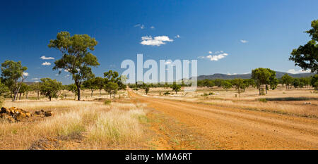 Bunte australische Outback Landschaft mit Red dirt road Kreuzung Ebenen verdeckt mit goldenen Gras u. zerstreute Bäume in entfernte Bereiche unter blauem Himmel Stockfoto