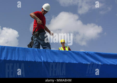Operation Blue Roof ist eine Katastrophenschutzinitiative der US Army Corps of Engineers, die nach schweren Stürmen provisorische Dachlösungen bereitstellt. Am 1. Oktober 2017 holt ein Dachdecker in Sebring, Florida, einen Hammer aus einem Werkzeuggürtel, während ein Sicherheitsbeobachter die Nähe der Dachkanten während der Reparatur durch Hurrikan Irma überwacht. Das Archivbild dokumentiert Sicherheitspraktiken und die Installation von Notdächern unter Bundesvertrag. Stockfoto