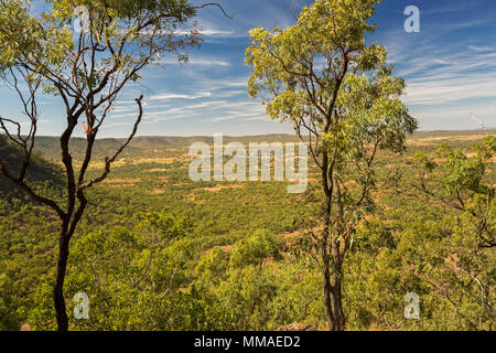 Blick auf weite Outback Landschaft der Bereiche und Ebenen unter blauem Himmel von Lookout im Minerva Hills National Park, in der Nähe von Springsure Queensland Australien Stockfoto