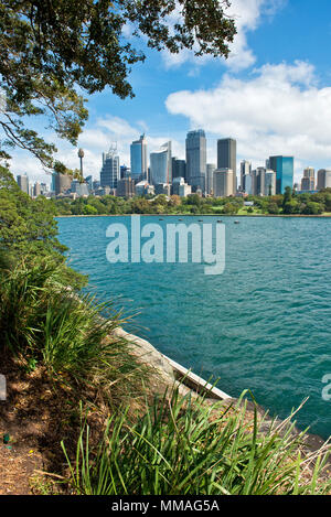 Blick nach Süden - Westen entlang der Fußweg am Rande des Royal Botanic Gardens und Farm Cove (Wahganmuggalee) in Richtung Central Business District. Stockfoto