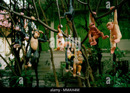 Exzentrische Affen in einem buddhistischen Tempel in Dusit in Bangkok, Thailand in Südostasien im Fernen Osten. Buddhismus Reisen Stockfoto