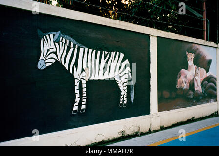 Burchell's Zebra in Bangkok, Thailand in Südostasien Fernost Stockfoto