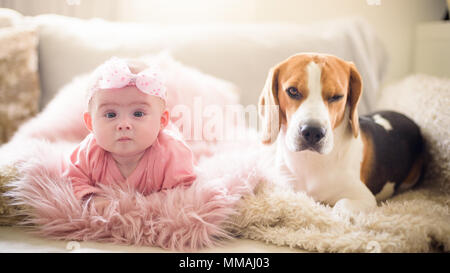 Süßes Baby Mädchen mit einem beagle Hund auf einer Couch nebeneinander auf der Couch. Stockfoto