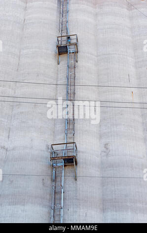 Außenwand von Korn storage Silo- und Leiter mit Plattformen aufsteigend von Silo zum Seitenanfang Stockfoto