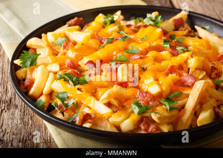 Frisch gebackene Pommes Frites mit Cheddar Käse, Speck und Petersilie closeup auf einer Platte gekocht. Horizontale Stockfoto