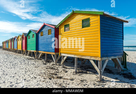 Bunte Badehäuschen am Strand von Muizenberg in der Nähe von Kapstadt, Südafrika. Stockfoto