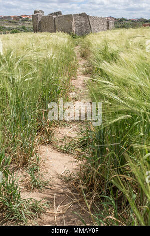 Dolmen von magalithic Magacela antiken Gebäude in der Nähe von Don Benito, Extremadura. Spanien Stockfoto