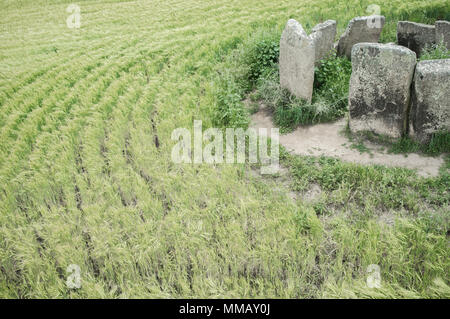 Dolmen von Cerca del Marco alte Gebäude in der Nähe von magalithic Magacela in Extremadura. Spanien Stockfoto